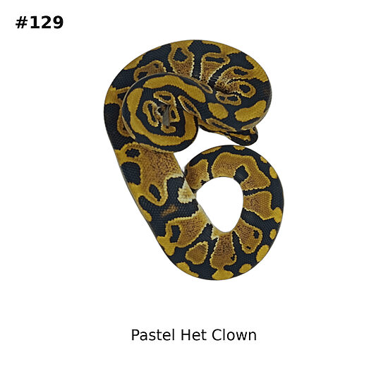 💗 Pastel Het Clown ♀ #129