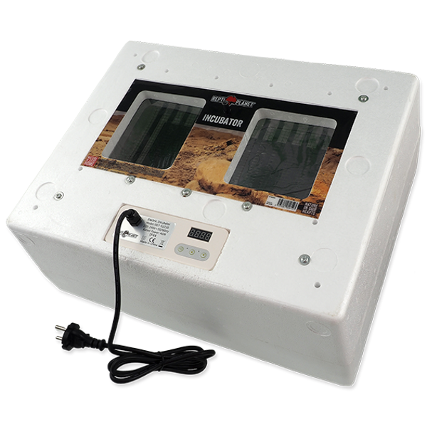 REPTI PLANET INCUBATOR