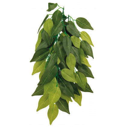 Silk Hanging Plant, Ficus ø 20 × 30 cm