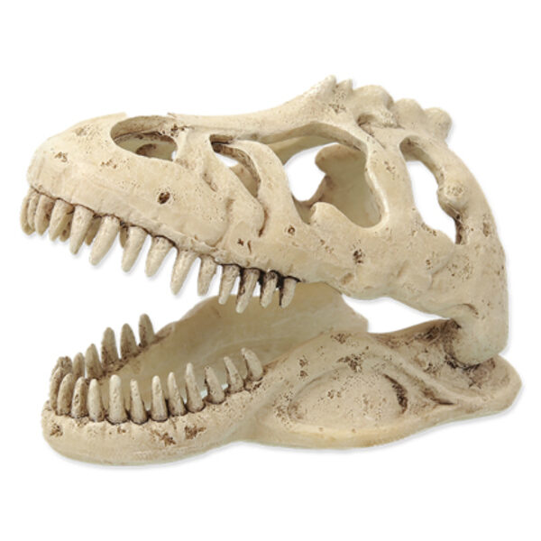 Dinozaura galva 13.3 × 8.5 × 9 cm
