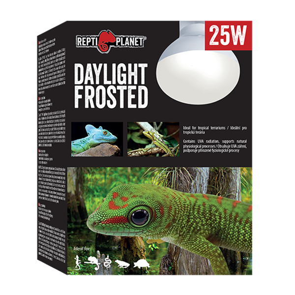 REPTI PLANET DAYLIGHT FROSTED